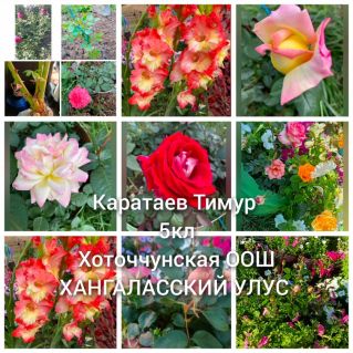 Букет из своего сада