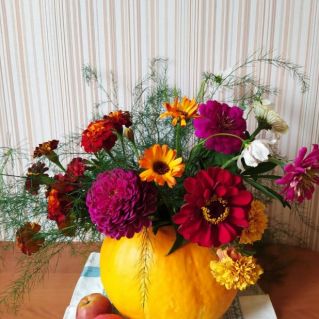 "Цветы с сюрпризом!"