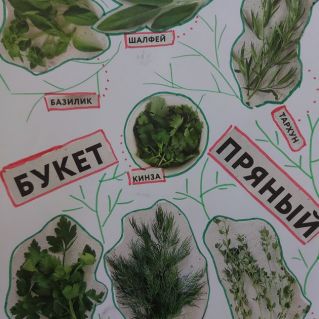 Пряный букет - польза для здоровья