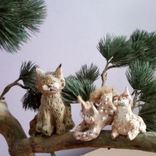 "Лесные котики"