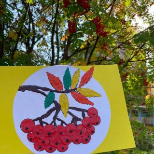 Гроздья рябины - вестники осени