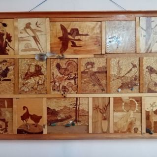 "Наши пернатые друзья"