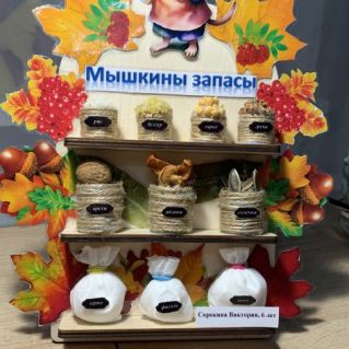 Мышкины запасы