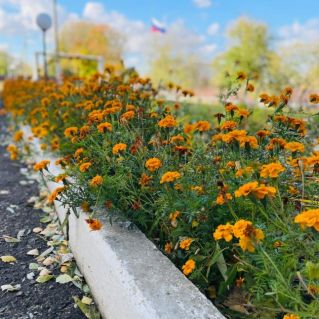 Авторская фотография "Осенние краски"