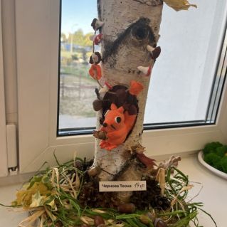 Волшебный лес