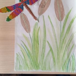 Веселая стрекоза