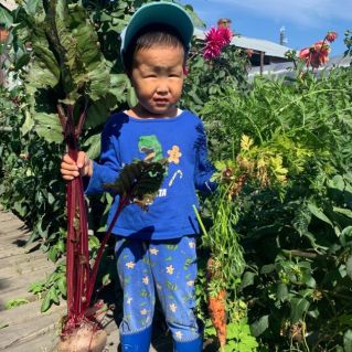 Чем я не помощник  ?