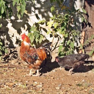 Под прикрытием