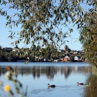 Умиротворение