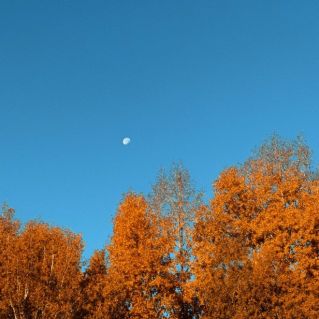 Осеннее утро