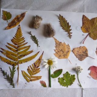 Золотая осень