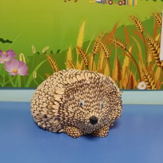 "Красивый Ёжик"