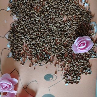 Заповедный мир животных