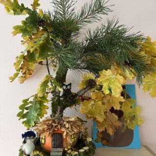 «Сказки леса»