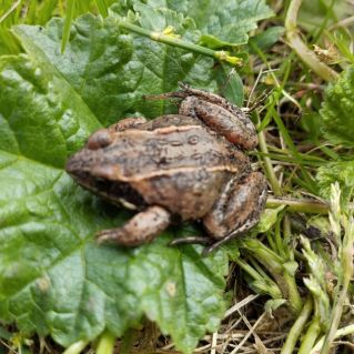 ФотоФакт "Удивительная встреча"