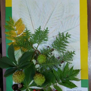 "Подарки осени"