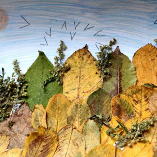 Осенний лес