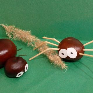 Осенние паучки