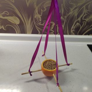 Авторская кормушка