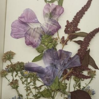 Осенняя нежность