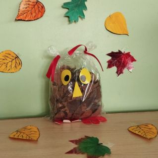 Поделка из природного материала "Совушка"