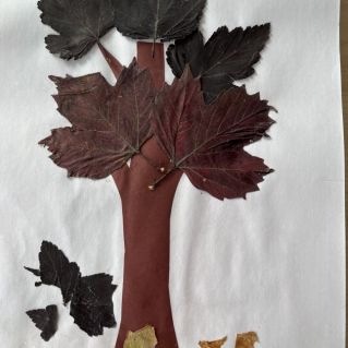 "Осеннее дерево"