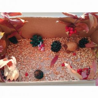 Осенняя поляна