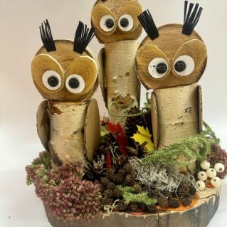 «Семейство сов»