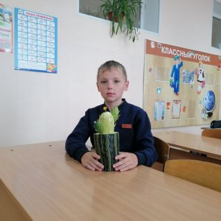 Кактус колючий