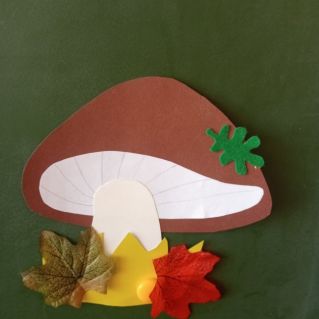 ОКОУ "Школа-интернат №5"  г. Курска