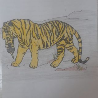 "Полосатый хищник"