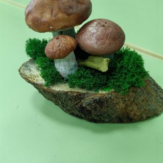 Грибная полянка