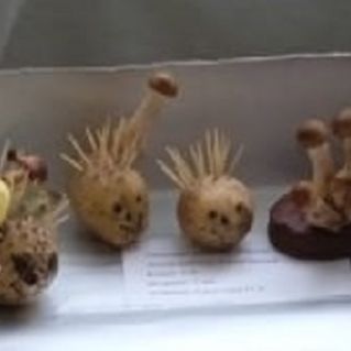 Ежи на полянке"