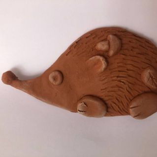 Лесной житель