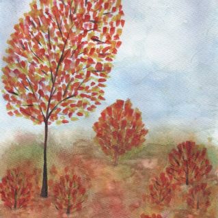 Осень в поле