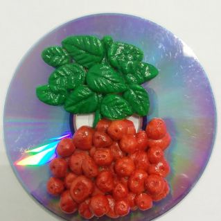 Веточка рябины