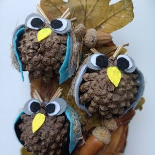 Семейка совушек