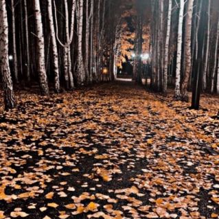 "Золотая тишина"