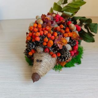 Осенний ёжик