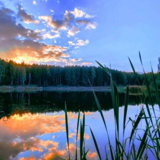 "Лысьвенские закаты"