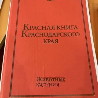 Проектная работа "Красная книга"