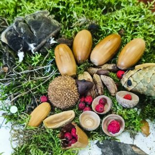 "Осенний пир ёжика "