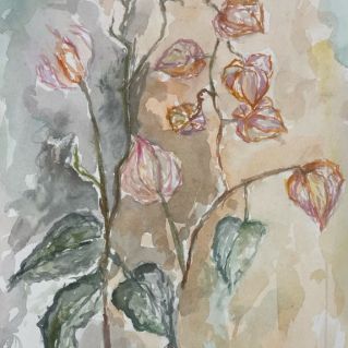 "Ветренный физалис"