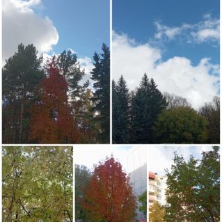 "Краски осени"