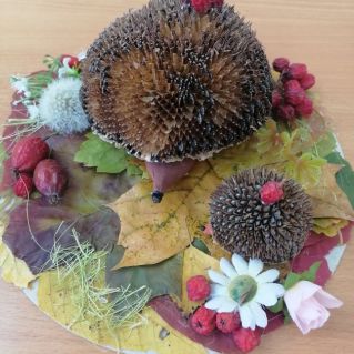 Осенняя поляна