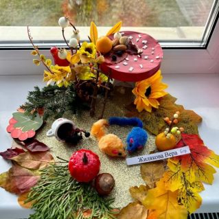 Во дворе у мышек