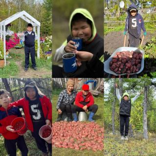 "Осенний урожай"