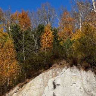 «Малая Родина»