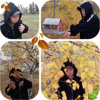 "Золотая осень"