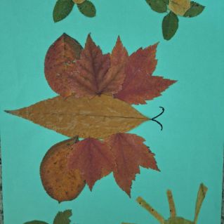 Бабочка - красавица